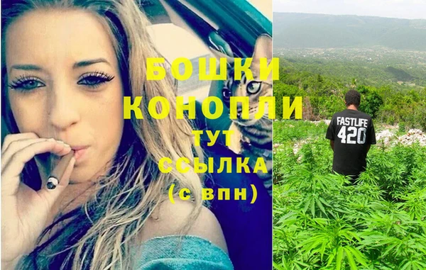мяу мяу мука Абаза