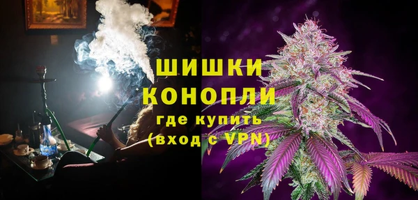 мяу мяу мука Абаза