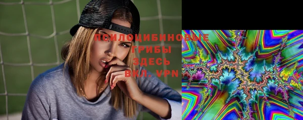 мяу мяу мука Абаза