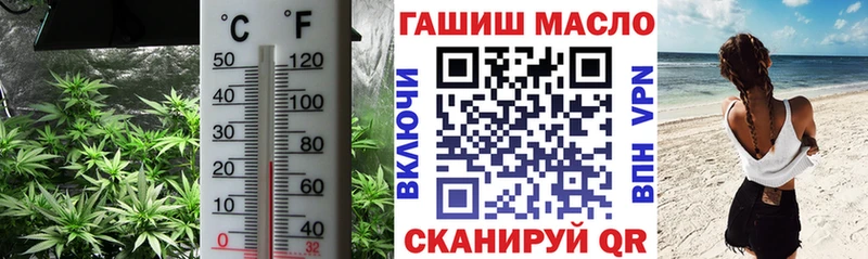 наркота  Болотное  mega ссылки  ТГК гашишное масло 